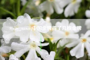 西藏中国金牌得了几枚金牌