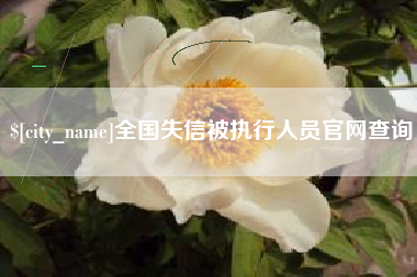 西藏全国失信被执行人员官网查询