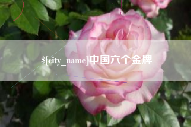 西藏中国六个金牌