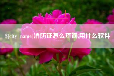 西藏消防证怎么查询,用什么软件