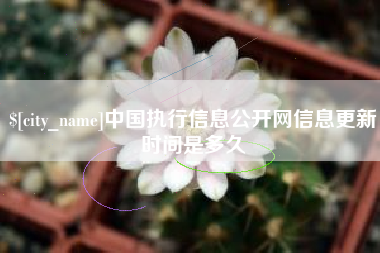 西藏中国执行信息公开网信息更新时间是多久