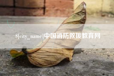 西藏中国消防救援教育网