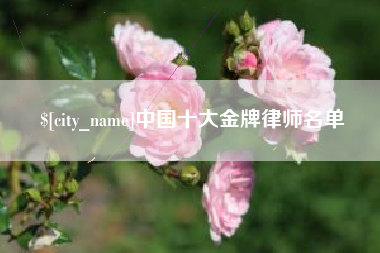 西藏中国十大金牌律师名单