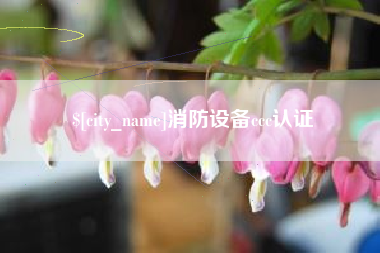 西藏消防设备ccc认证