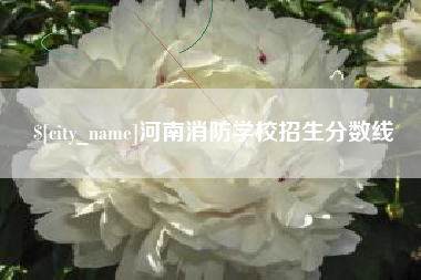 西藏河南消防学校招生分数线