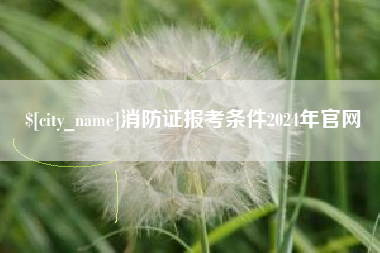西藏消防证报考条件2024年官网