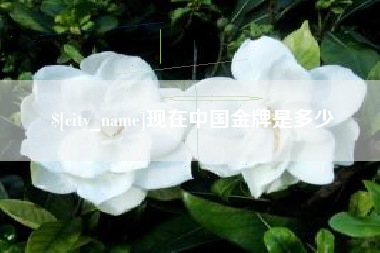 西藏现在中国金牌是多少