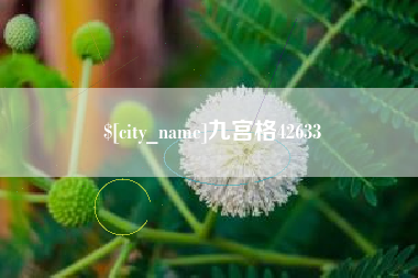 西藏九宫格42633