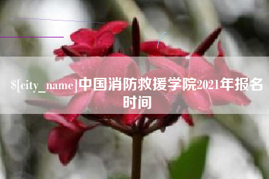 西藏中国消防救援学院2021年报名时间