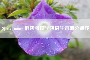 西藏消防救援学院招生录取分数线