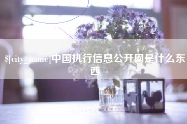 西藏中国执行信息公开网是什么东西