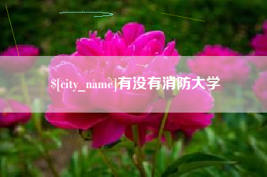 西藏有没有消防大学