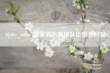 西藏国家消防救援队伍报名网址