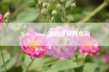 西藏消控证官网查询