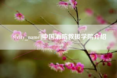 西藏中国消防救援学院介绍