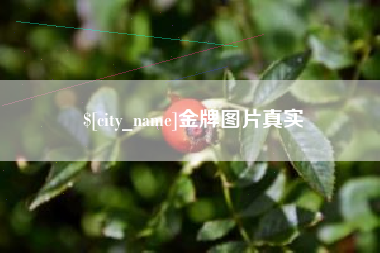 西藏金牌图片真实