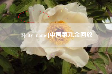 西藏中国第九金回放
