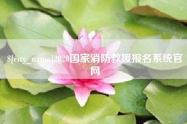 西藏2020国家消防救援报名系统官网