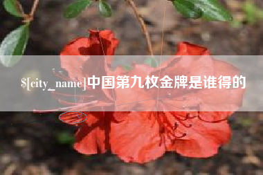 西藏中国第九枚金牌是谁得的