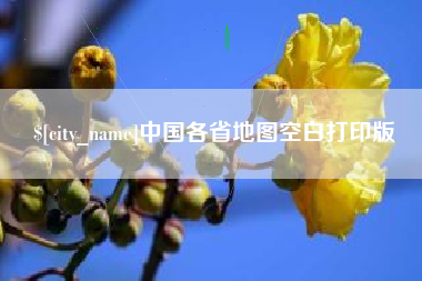 西藏中国各省地图空白打印版