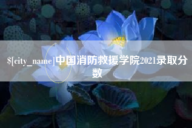西藏中国消防救援学院2021录取分数