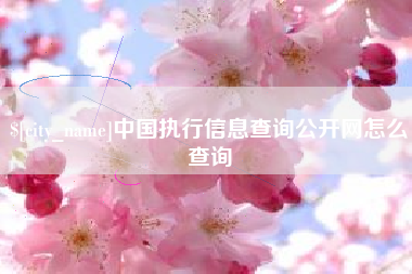 西藏中国执行信息查询公开网怎么查询