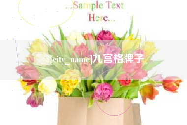 西藏九宫格牌子