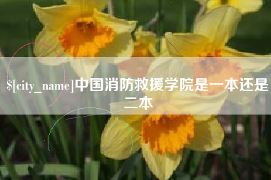西藏中国消防救援学院是一本还是二本