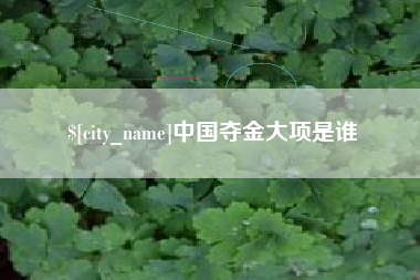 西藏中国夺金大项是谁