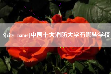西藏中国十大消防大学有哪些学校