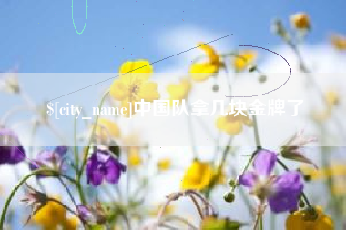 西藏中国队拿几块金牌了
