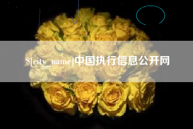 西藏中国执行信息公开网