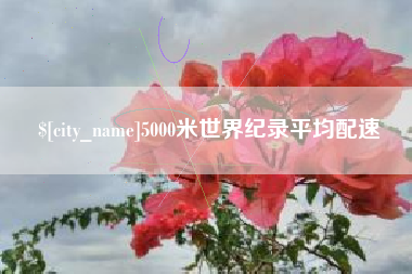 西藏5000米世界纪录平均配速