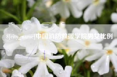 西藏中国消防救援学院男女比例
