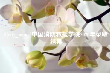 西藏中国消防救援学院2020年录取结果