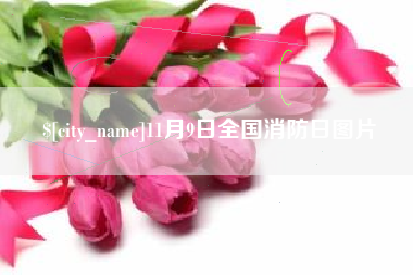西藏11月9日全国消防日图片