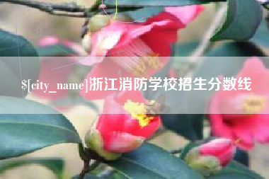 西藏浙江消防学校招生分数线