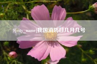 西藏我国消防日几月几号
