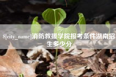 西藏消防救援学院报考条件湖南招生多少分