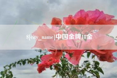 西藏中国金牌18金