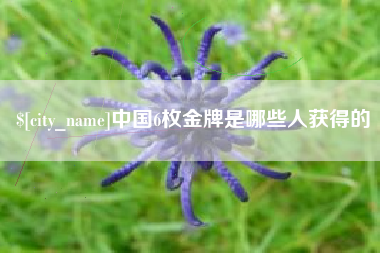 西藏中国6枚金牌是哪些人获得的