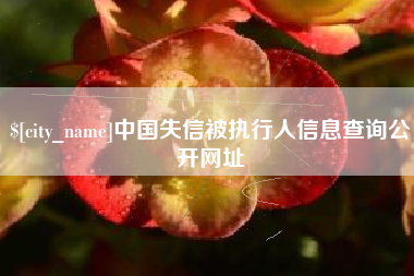 西藏中国失信被执行人信息查询公开网址
