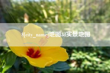 西藏地图3d实景地图