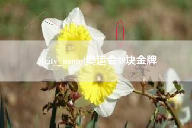 西藏奥运会39块金牌
