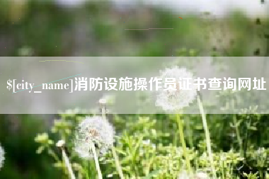 西藏消防设施操作员证书查询网址