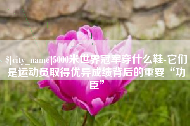 西藏5000米世界冠军穿什么鞋-它们是运动员取得优异成绩背后的重要“功臣”