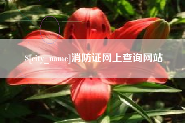 西藏消防证网上查询网站