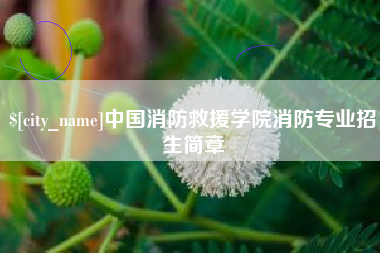 西藏中国消防救援学院消防专业招生简章