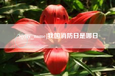 西藏我国消防日是哪日