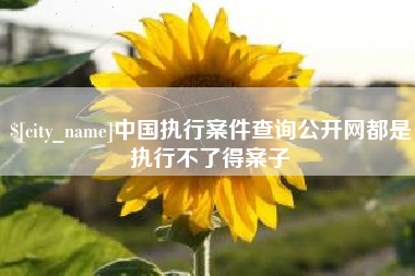 西藏中国执行案件查询公开网都是执行不了得案子